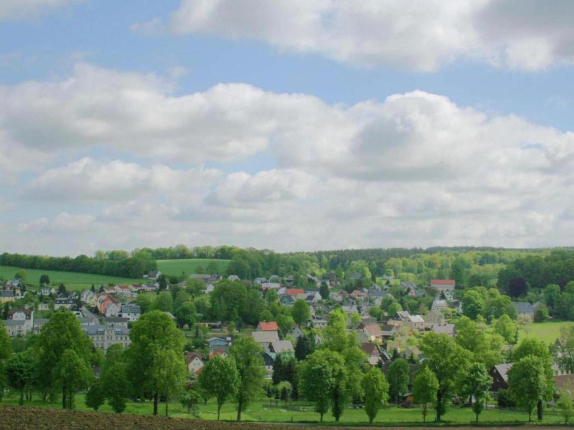 Alluring Villa In Grunhainichen Borstendorf With Garden 로이브스도르프 외부 사진